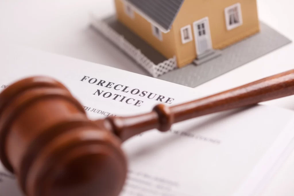 Asset Protection Lawyer